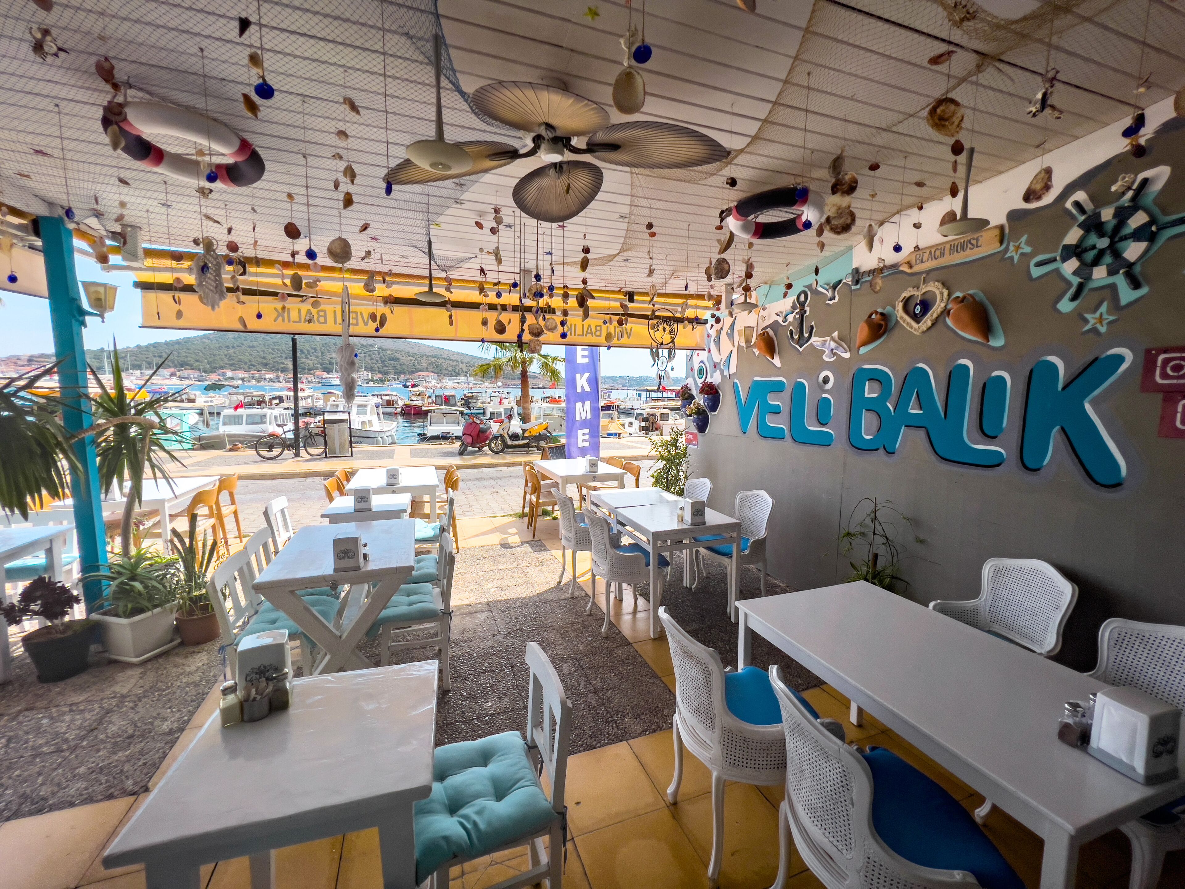 international cuisine