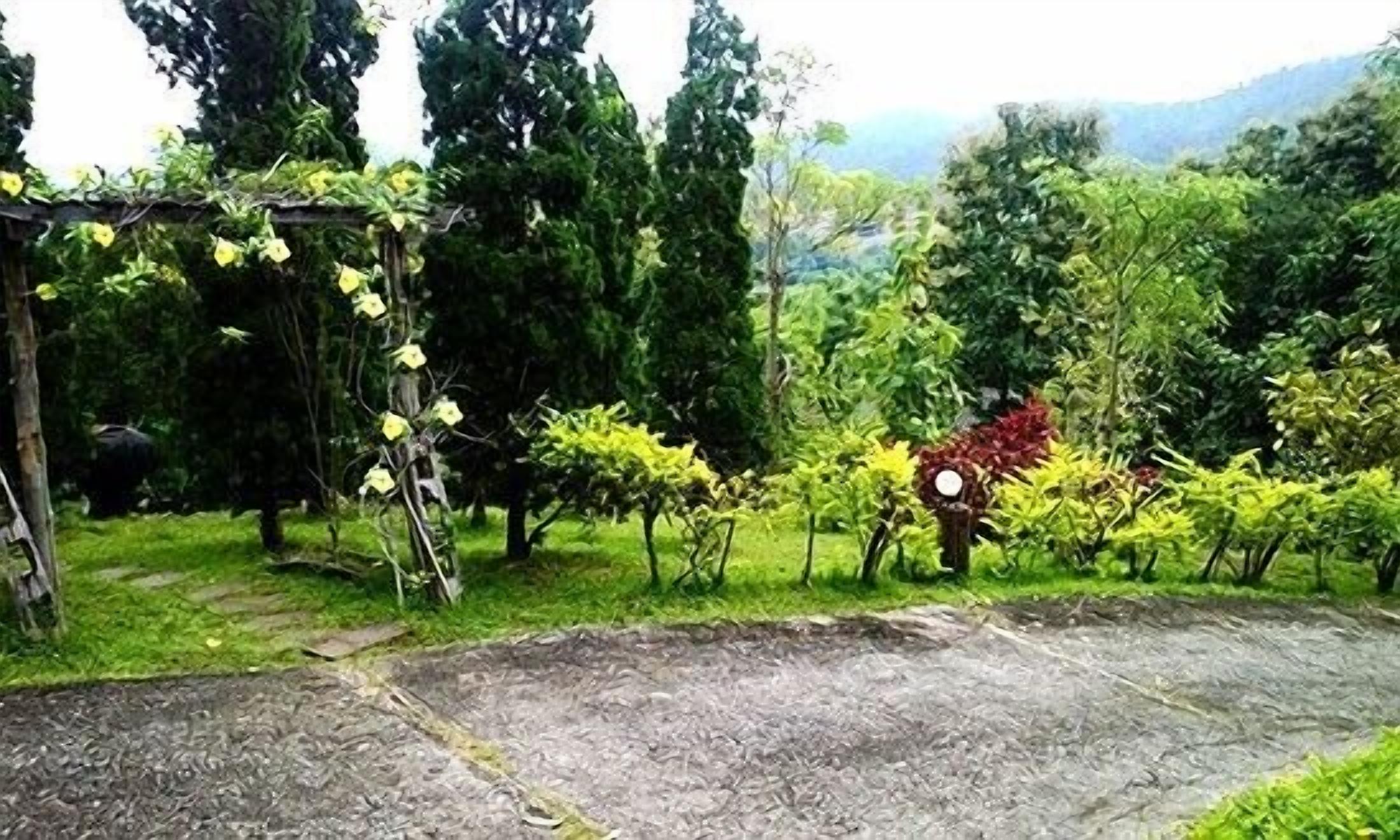 A garden with various plants and trees, a wooden pergola, and a stone pathway.