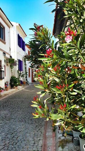 Property grounds - Amaranda Ada Evi - Adults Only (Bozcaada)