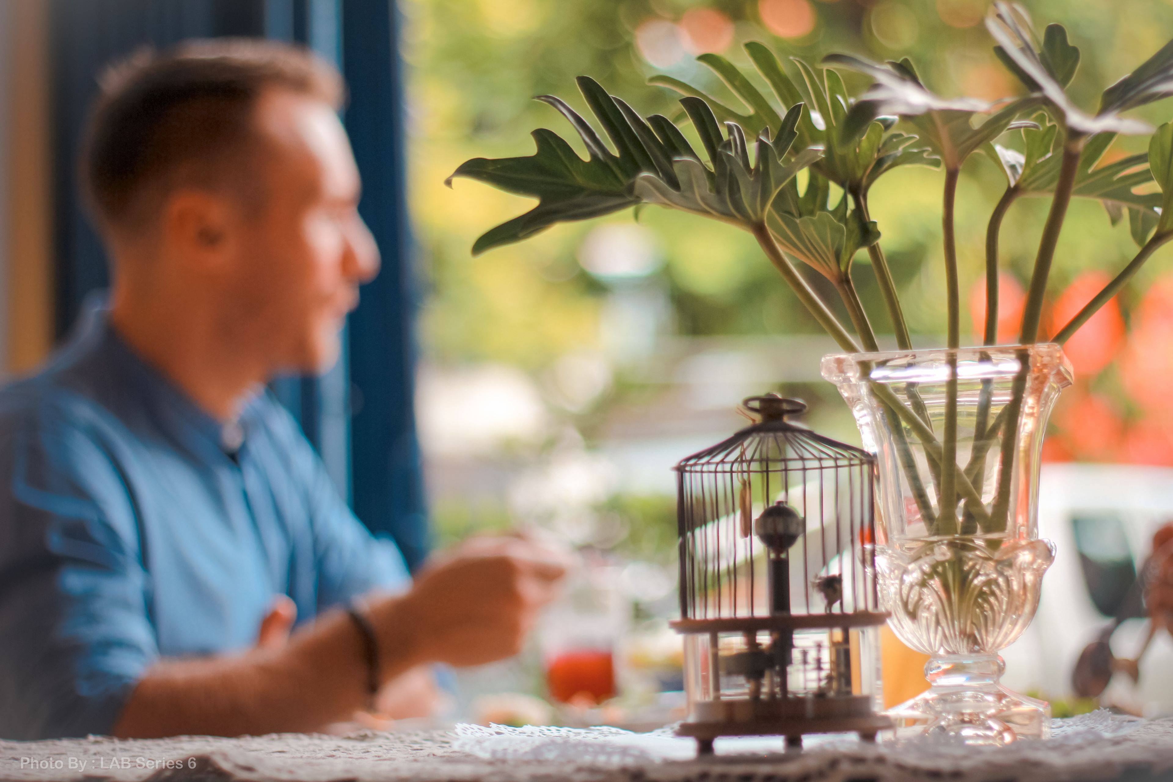 A table with a clear glass vase containing green plants and a small metal birdcage.