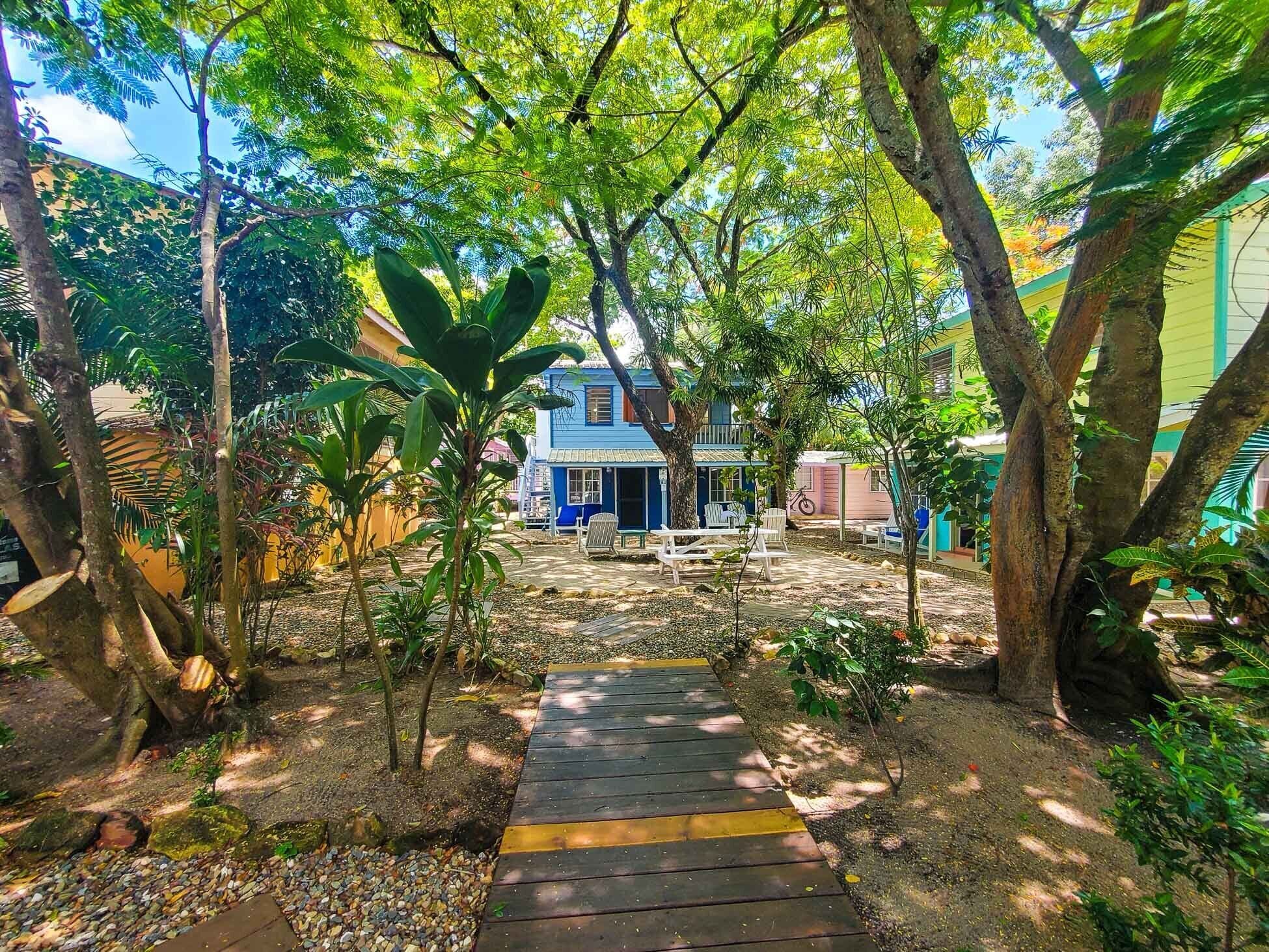 Un chemin menant à une maison bleue dotée d’un porche, entourée d’arbres et de verdure.