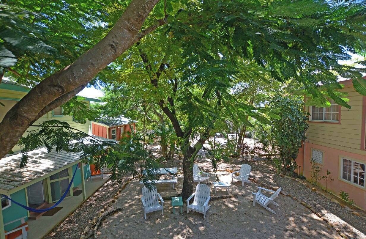 A tree-lined courtyard with white chairs and a small table, surrounded by buildings with colorful facades.