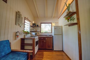 Turtle 2-bedroom apartment | Private kitchen | Oven, dishwasher, toaster, blender - Placencia Villas (Placencia)