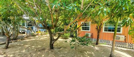 A tropical garden with a wooden deck, a palm tree, and a building with a white fence.