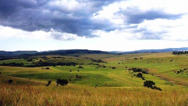 Ein Panoramablick auf eine ländliche Landschaft mit sanften Hügeln und vereinzelten Bäumen.