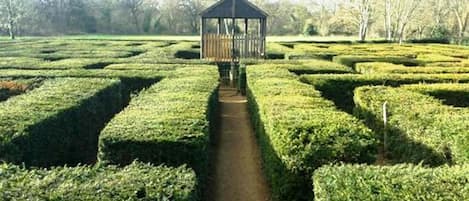 Land view from property