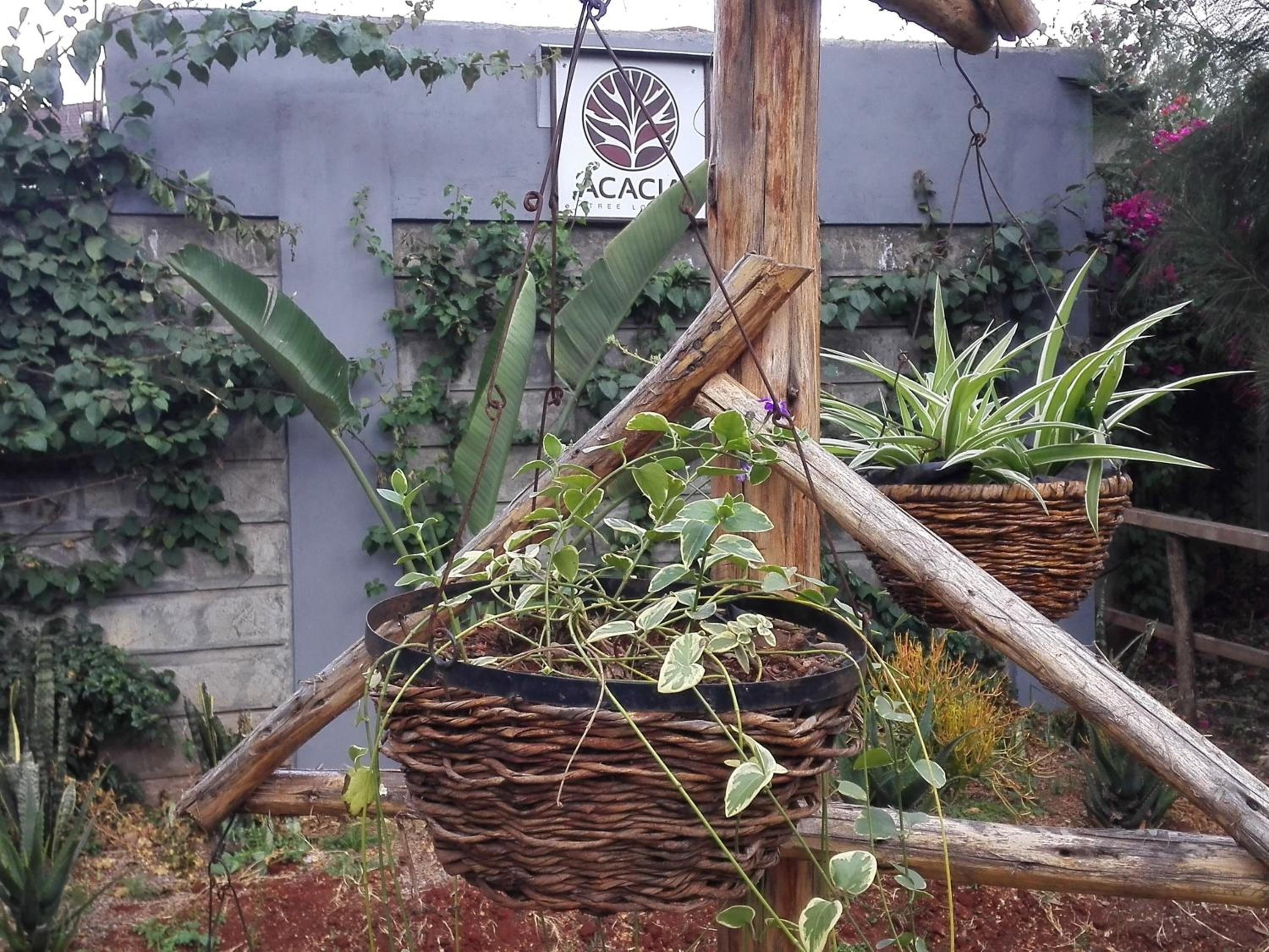 Two wicker baskets with plants hanging from a wooden structure.
