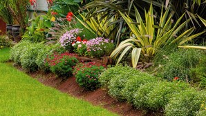 Un exuberante jardín con diversas plantas y flores.