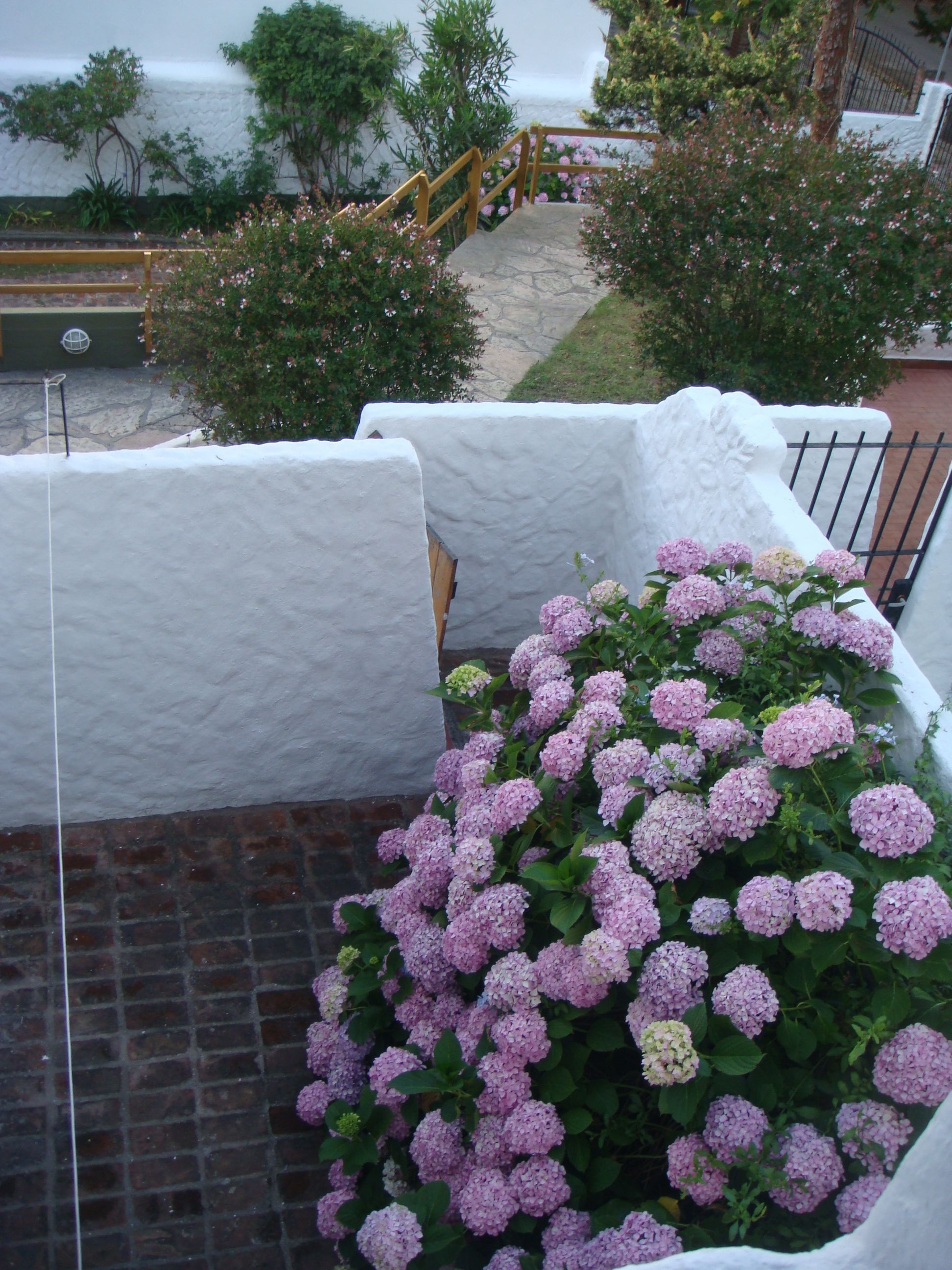 A balcony with a white railing, a brick wall, and a potted plant with pink flowers.