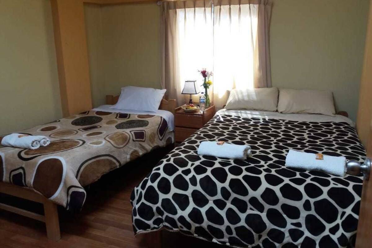 A hotel room with two beds, each with a distinct patterned bedspread.