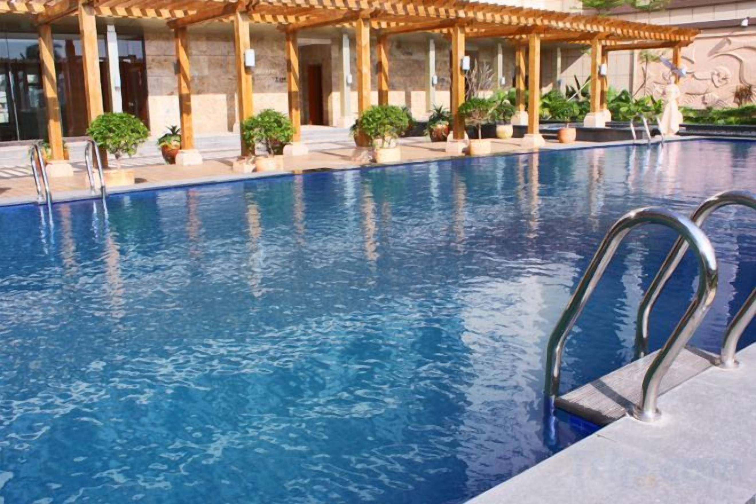 A swimming pool with a pergola structure, surrounded by potted plants.