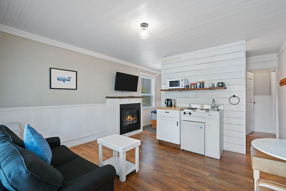 A modern living room with a fireplace, a flat-screen TV, and a kitchenette with a microwave and stove.