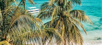 Marquis Paradise