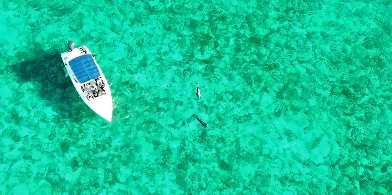 Un bateau sur une eau turquoise et limpide.