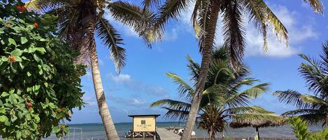 Escena de playa con palmeras, una cerca de madera y un puesto de salvavidas con el letrero 'Playas del Sol'.
