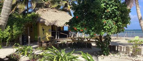 A beachside hut with a thatched roof, surrounded by palm trees and tropical plants.