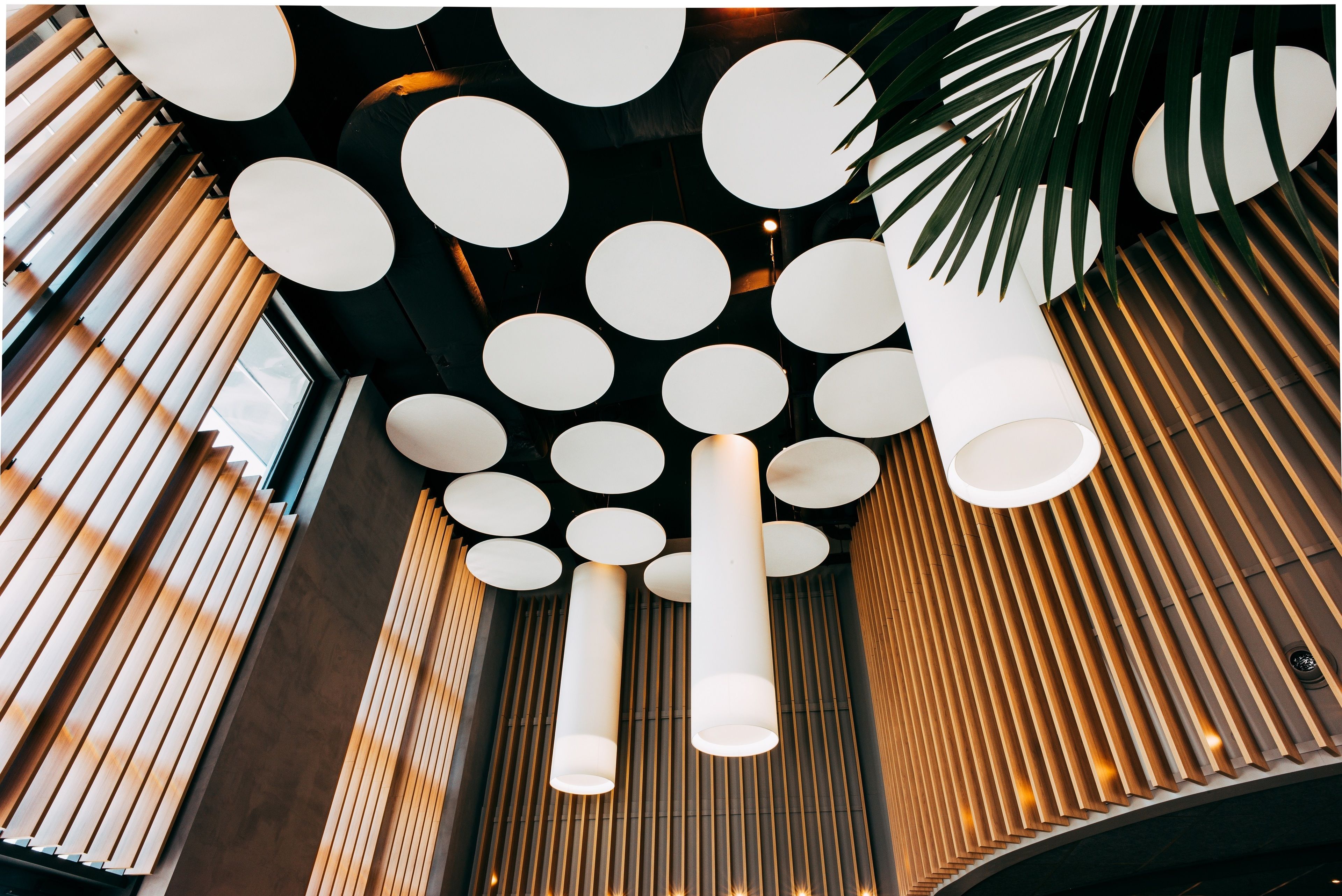 A modern interior with circular ceiling lights, vertical wooden slats, and a large window.