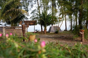 Property grounds - The Camp Resort (Khura Buri)