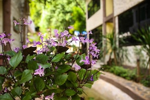 Property grounds - Rao Ga Khao Resort (Pak Chong)