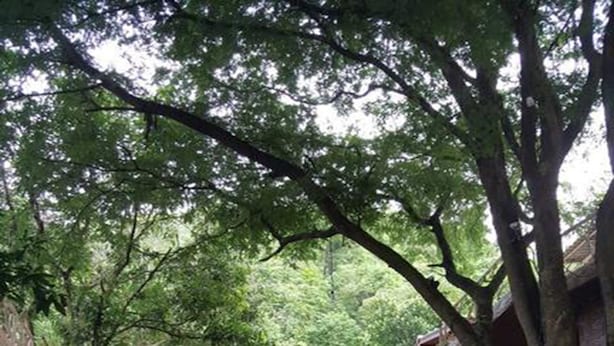 A courtyard with a fountain, wooden benches, and two-story buildings with balconies, surrounded by trees. - Treasure Inn Khaoyai (Pak Chong)