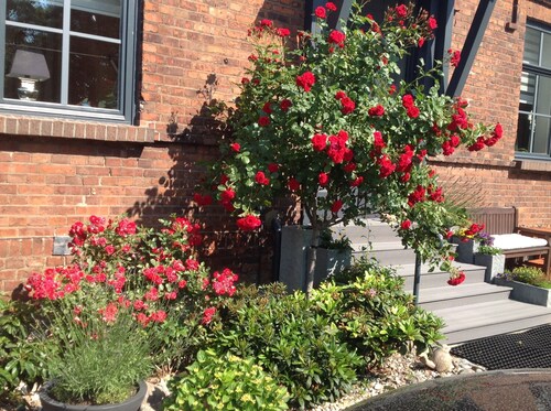 Quiet apartment with terrace and water views