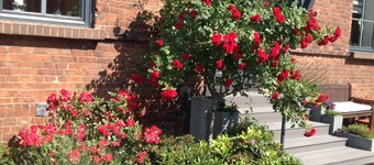 Rustig appartement met terras en uitzicht op het water