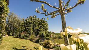 A garden with a large tree, a grassy lawn, and various plants. - Villa with Pool in Corrèze (Saint Bonnet La Rivière)