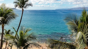 A beach with palm trees and clear blue water.