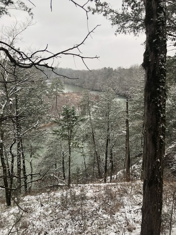 Zona boscosa con un río, árboles cubiertos de nieve y un cielo despejado.