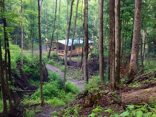 Cabin Creek Getaway by Letchworth State Park - Waterfalls & Woods!