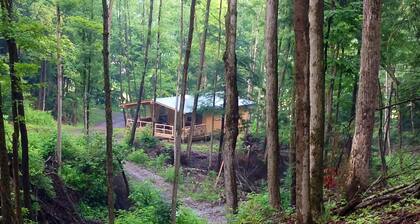 Cabin Creek Getaway (Letchworth) - Vesiputoukset 100 Acren yksityisellä metsällä!