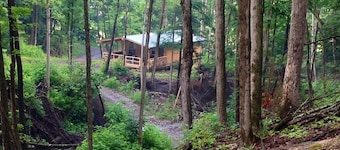 Cabin Creek Getaway by Letchworth State Park - Waterfalls & Woods!