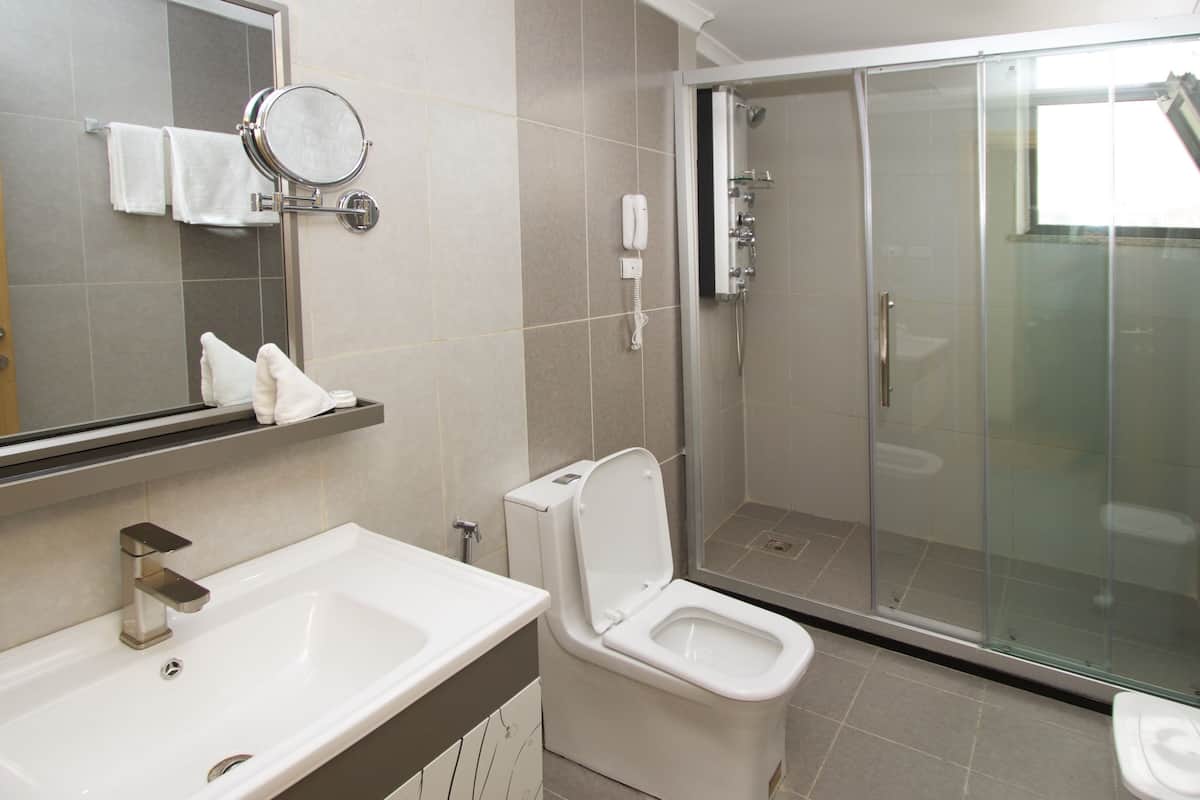 shower, free toiletries, hair dryer, slippers