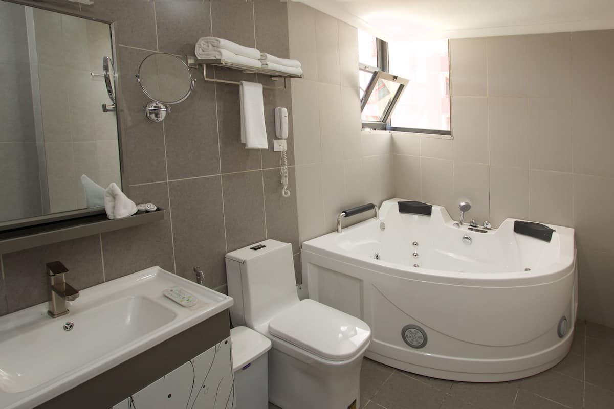 shower, free toiletries, hair dryer, slippers