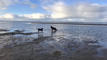 Beach nearby