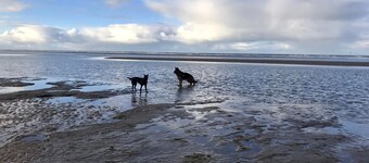 Geräumige, gemütliche und komfortable Villa (135 m²) am Strand und in den Dünen