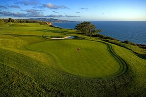 Un parcours de golf avec un drapeau, un arbre et une vue sur l’océan.
