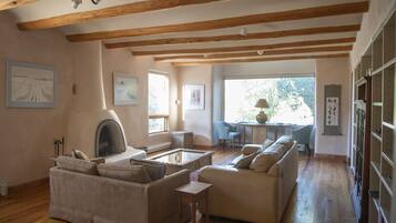 Smart TV, fireplace, DVD player, books