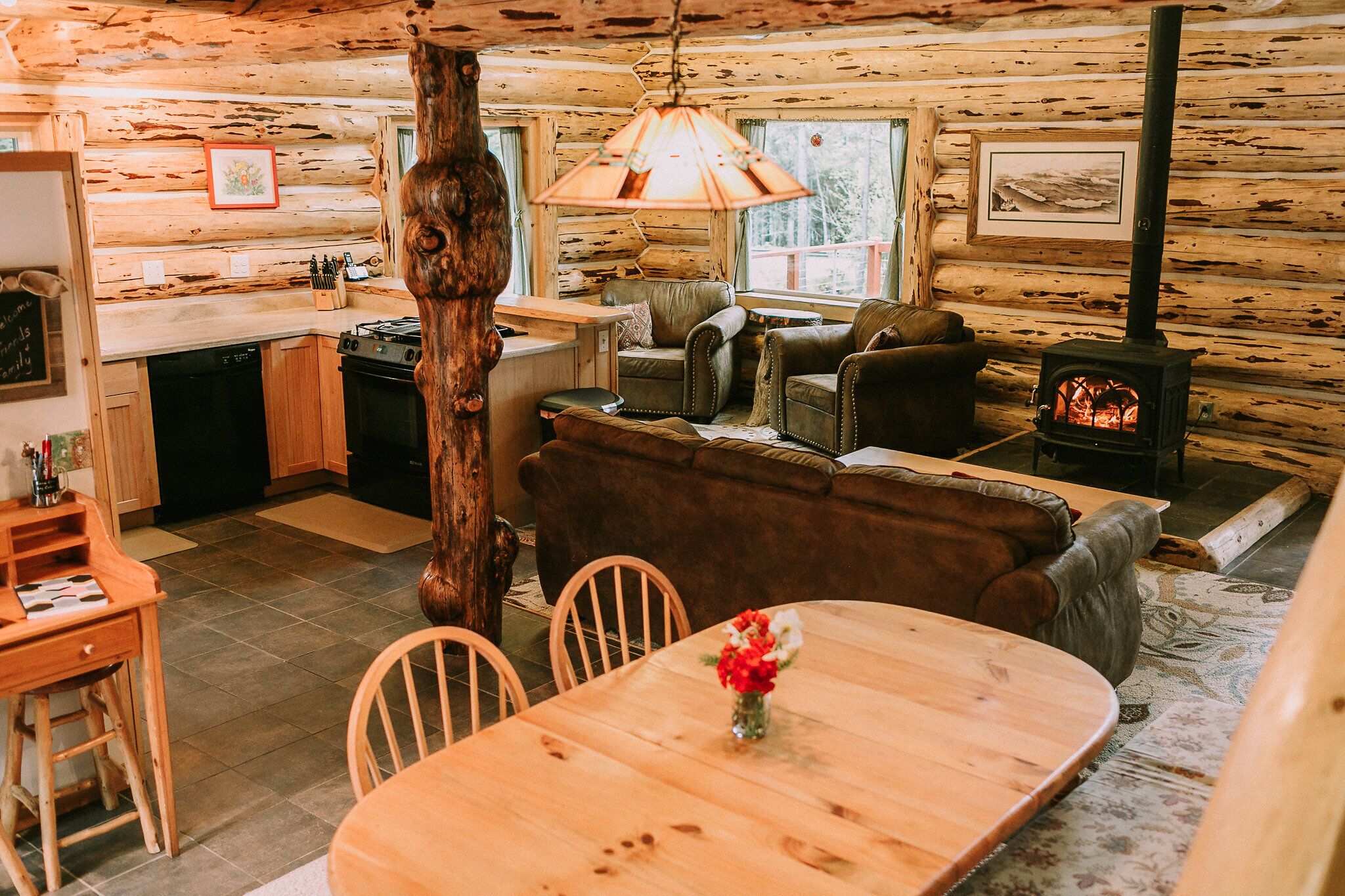 Älytelevisio, takka, DVD-soitin, kirjoja