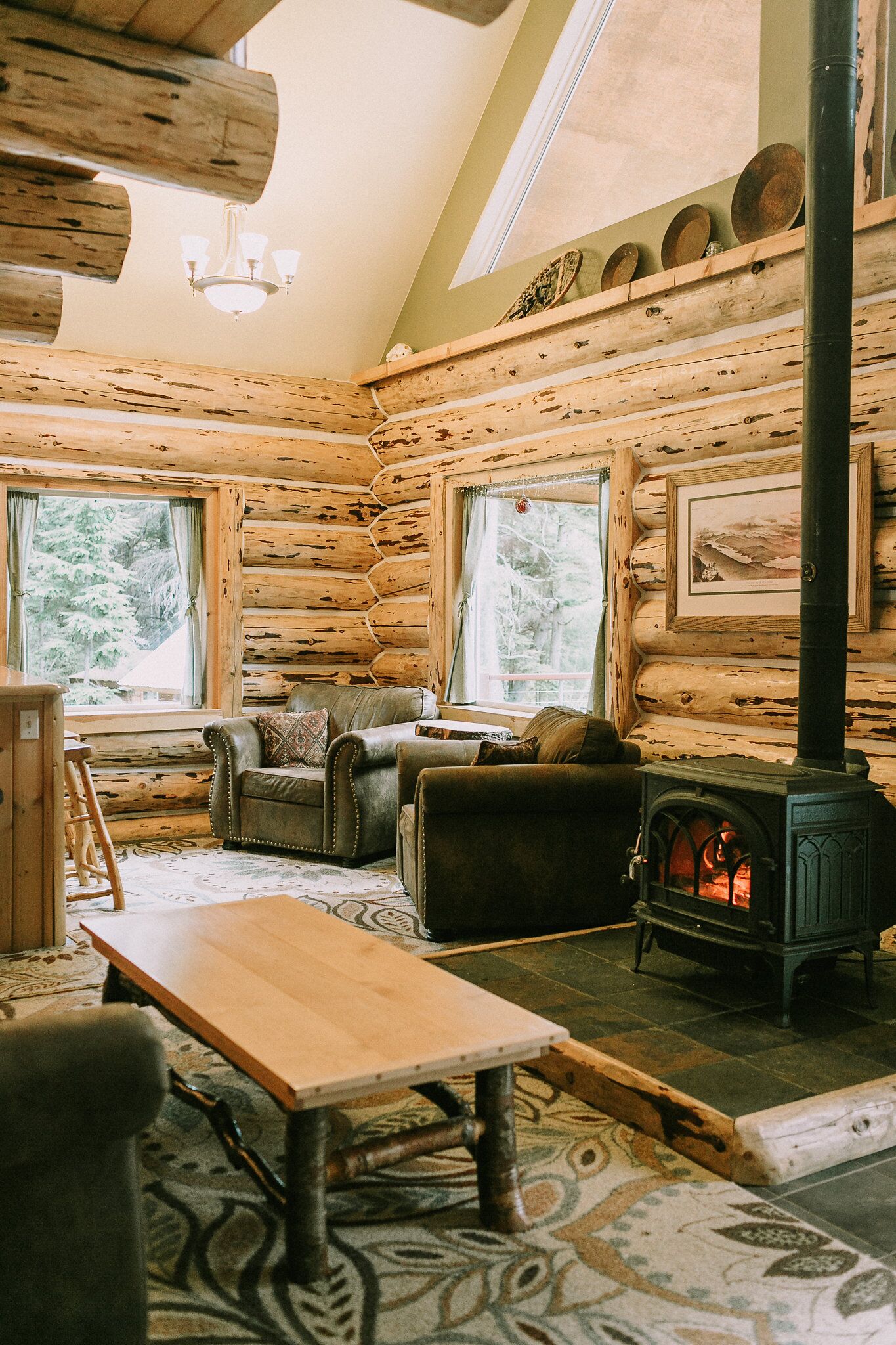 Smart TV, fireplace, DVD player, books