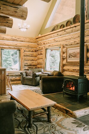 Smart TV, fireplace, DVD player, books