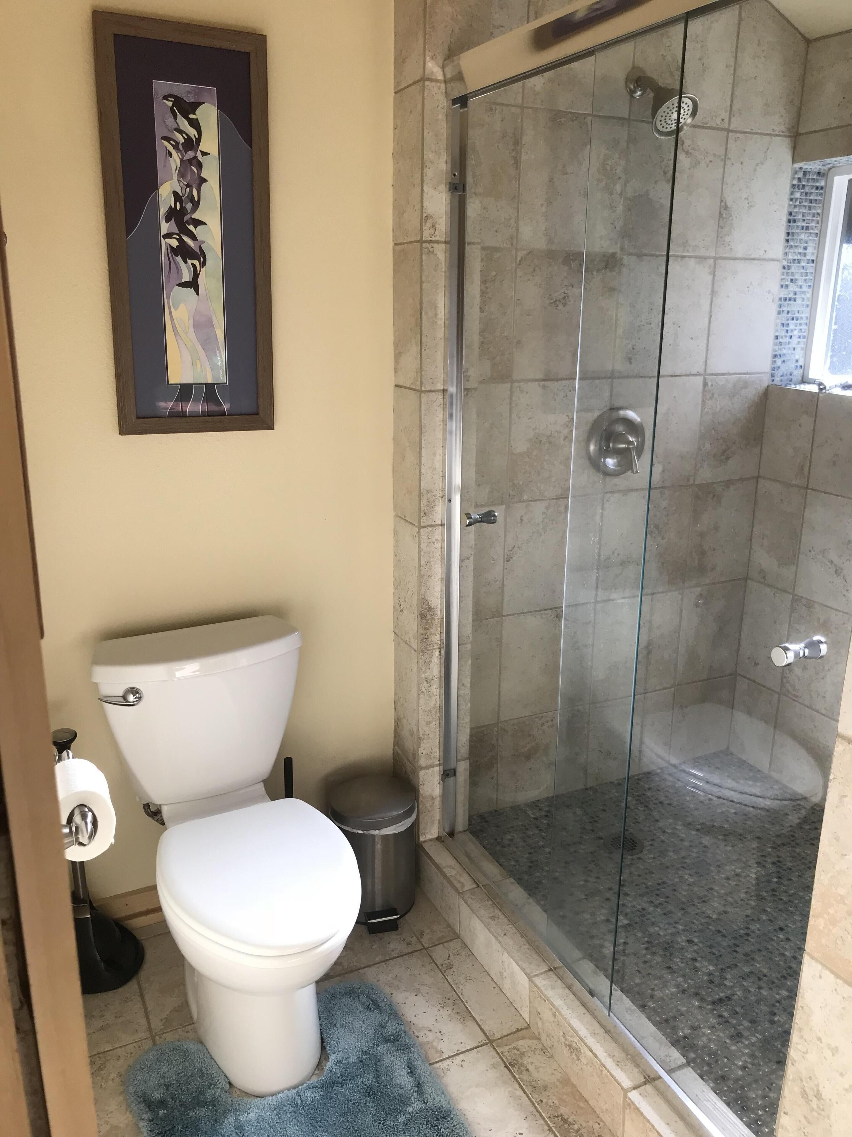 Une salle de bain comprenant des toilettes, une douche à parois de verre et une œuvre d’art encadrée accrochée au mur.