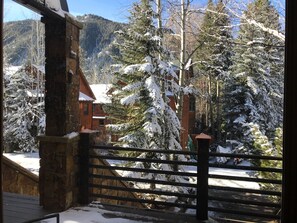 Property grounds - Walk to town! 4 bdrms all king beds. Great ski house w/ hot tub near Snyder Park (Aspen)
