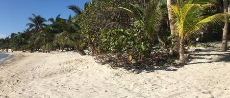Una playa arenosa con palmeras y un cielo azul despejado.