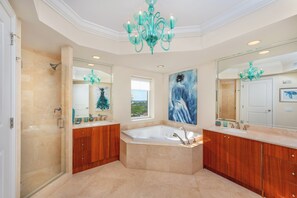 Combined shower/tub, hair dryer, towels, soap