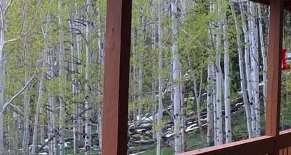 Whistle Pig Retreat @ 22 West