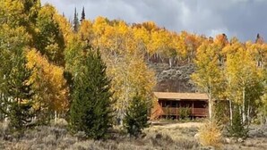 Een chalet in een bos, omringd door herfstkleurige bladeren, bomen en een rotsachtig landschap.