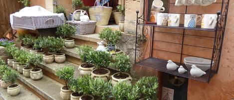 A storefront with potted plants, wicker baskets, and ceramic mugs displayed on shelves.