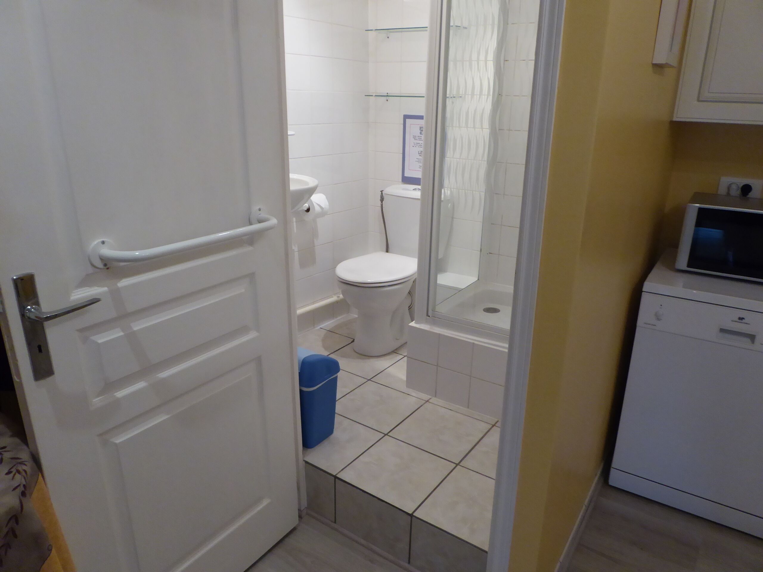 A bathroom with a toilet, shower, and a small sink.