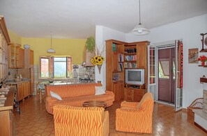 TV, fireplace, DVD player, books